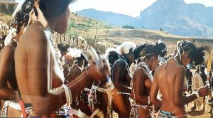 Lee más sobre el artículo Zulu (Zulullo, 1964) | La película más bochornosa de la historia del cine
