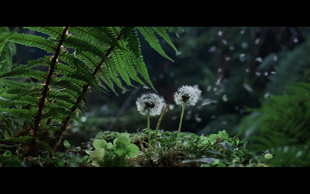 Captura-de-pantalla-2019-09-12-a-las-15.36.02 Obras maestras by Lucen | LA HIJA DE RYAN | ¿La película más bella de la historia del cine?