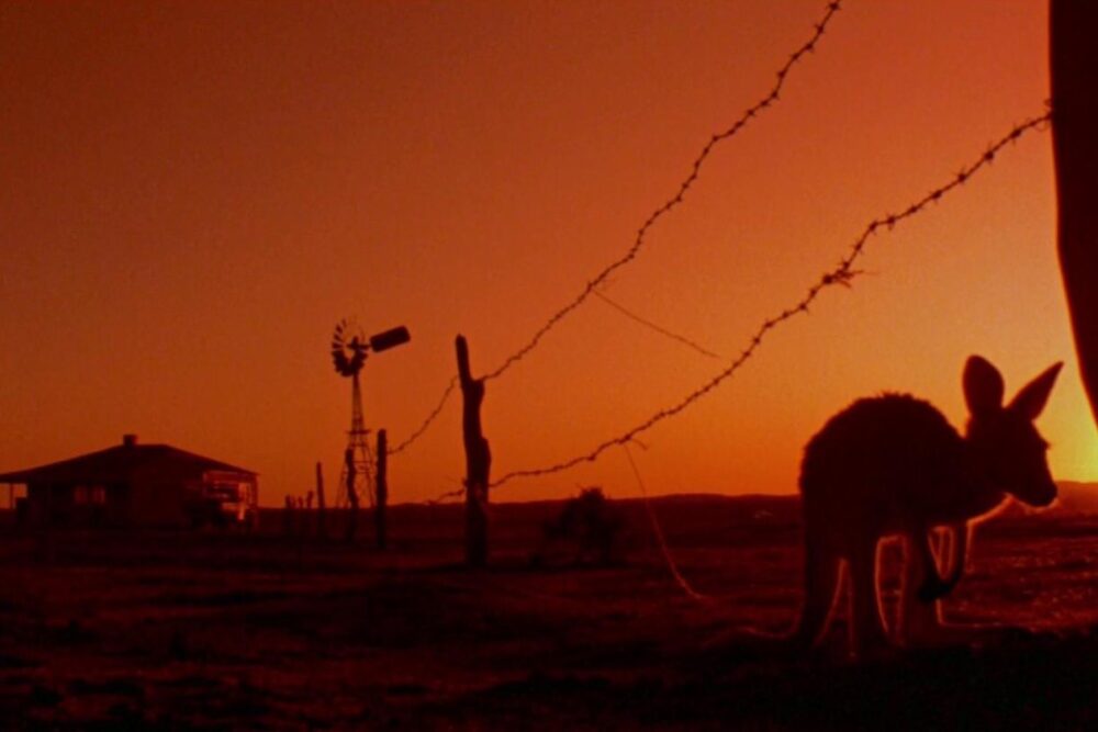 razorback2 El sueño abrasado del desierto: la puesta en escena de Razorback (1984)