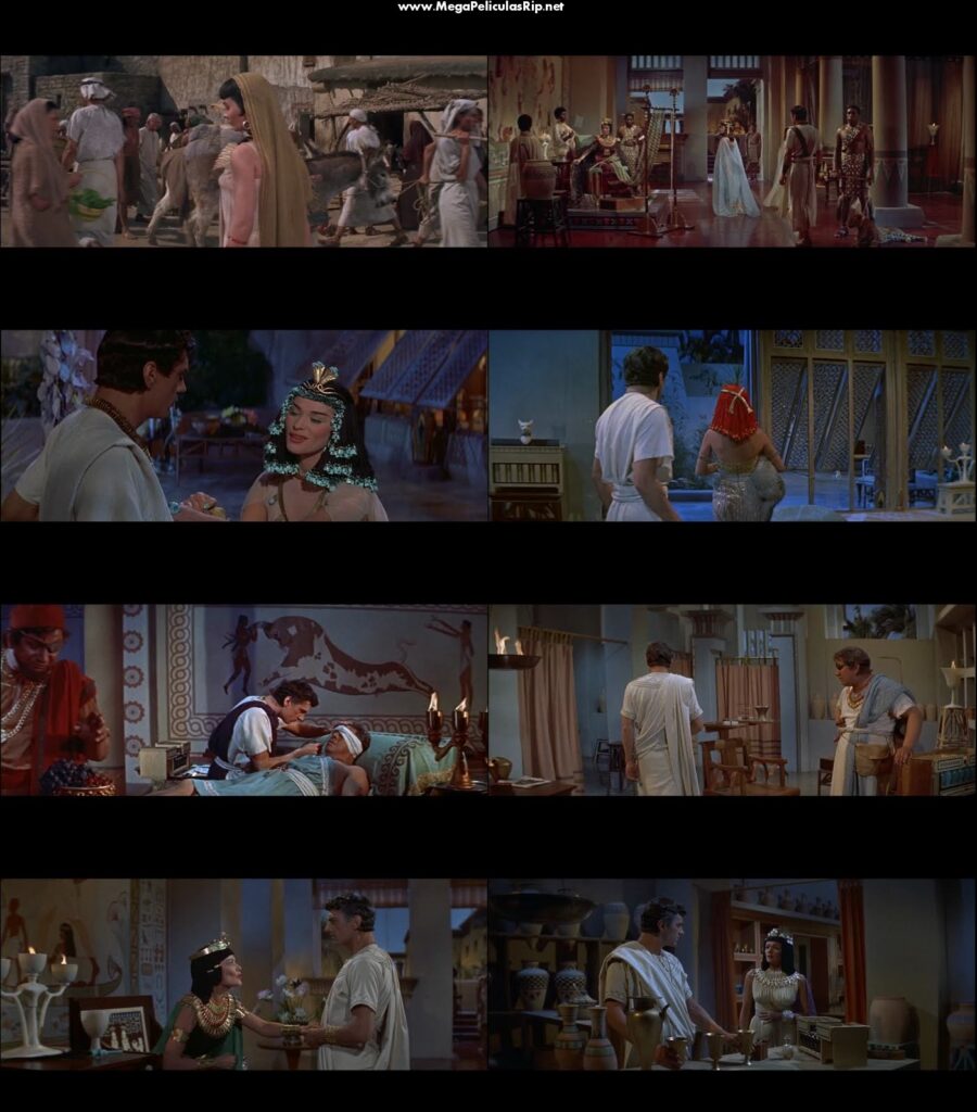 SP249PS-900x1024 Ver o descargar Sinuhe el egipcio (1954): entre la arena, el destino y los dioses olvidados