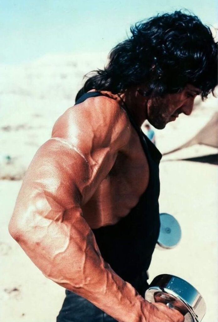 f053b2c242bba1062417f16067f02928-695x1024 ¿Podrá la precuela de Rambo honrar el legado de dos obras maestras del cine de acción o firmará el caótico epílogo de la mayor saga bélica de la historia?